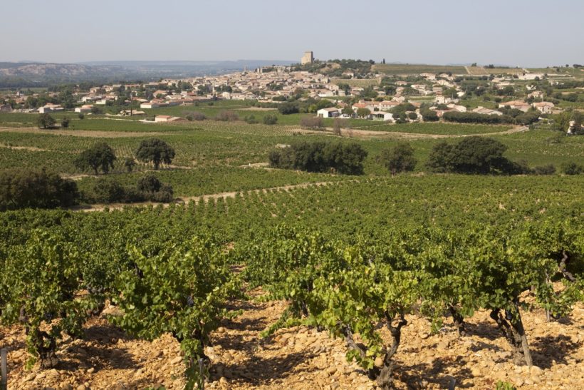 Domaine des Sénéchaux